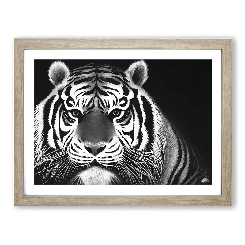 Tiger - Framed Print, 25cm H x 34cm W, Oak Framed