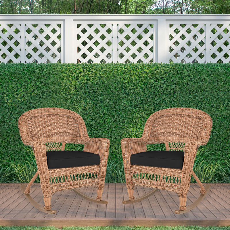 Raenesha Outdoor Chair, Honey, Black