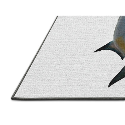 Indoor Rug