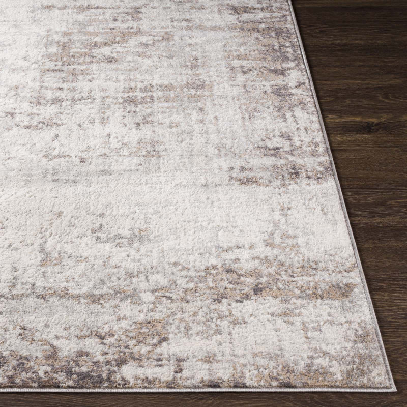 Reagyn Oriental Area Rug, Rectangle 60 x 90cm
