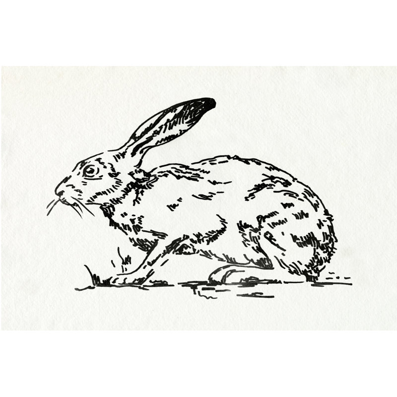 Resting Hare I by Emma Caroline - Drawing, 81cm H x 122cm W, Wrapped Canvas