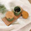 Ensemble de condiments en céramique et bois de teck Walburn Handmade Green Start (5 pièces)