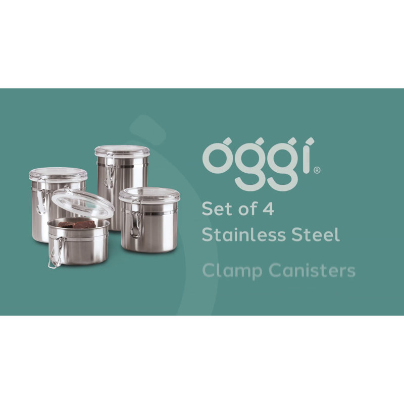 Stainless Steel and Clear 4-Piece Kitchen Canister Set