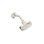 Showerhead with Arm (1.75 GPM)
