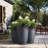 Askas Handmade Pot Planter-1536632207