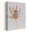 Banksia Abstract Contemporary Architecture Wall Art-129139664