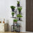 Plant stand