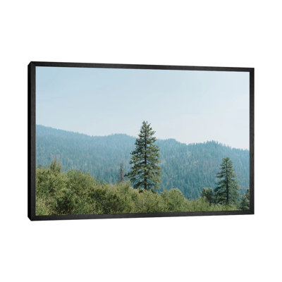Yosemite National Park XVI by Bethany Young - Print on Canvas