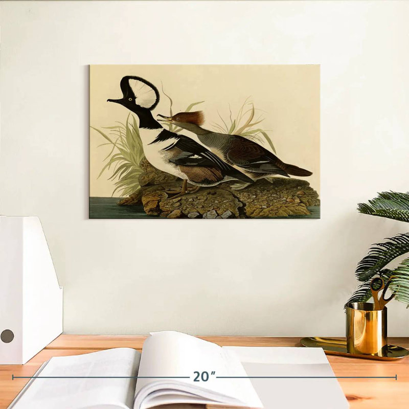 Hooded Merganser, 8" H x 12" W