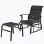 Ensemble de fauteuil oscillant d'extérieur et repose-pieds avec filet (noir)-2134782774