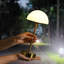 Metal Desk Lamp-361412362