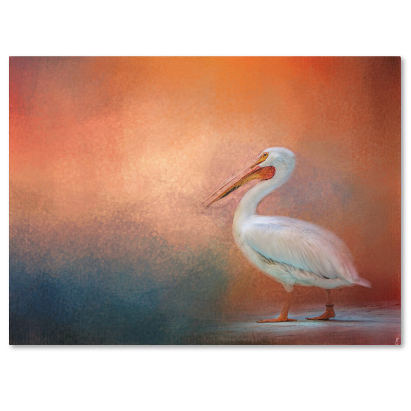 «Pelican Walk» de Vidur, impression sur toile tendue, H 18 po x l 24 po