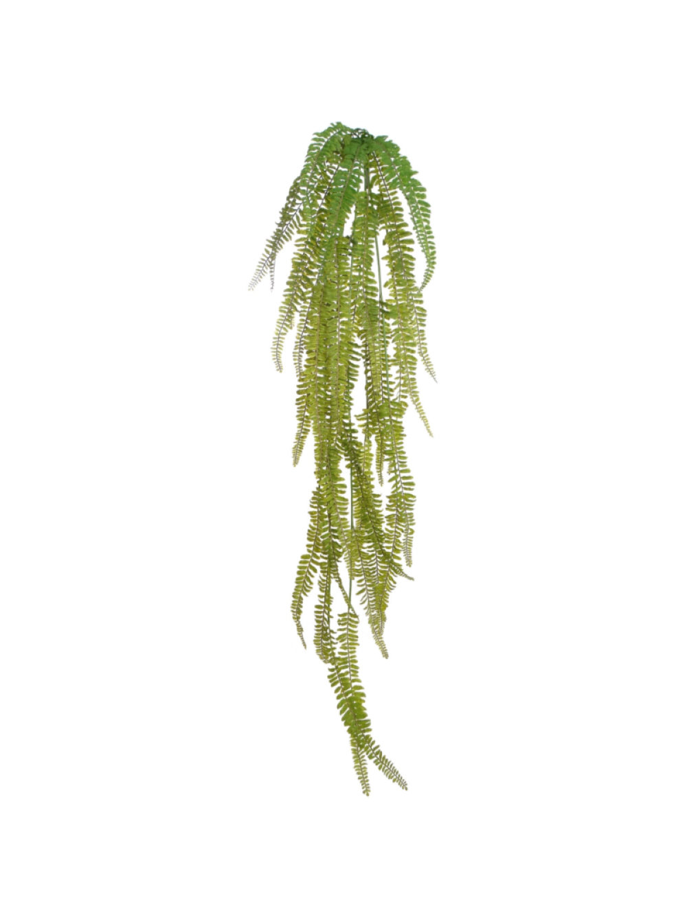 Primrue 50'' Faux Fern Plant - Wayfair Canada