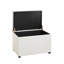 Meilich Faux Leather Accent Trunk