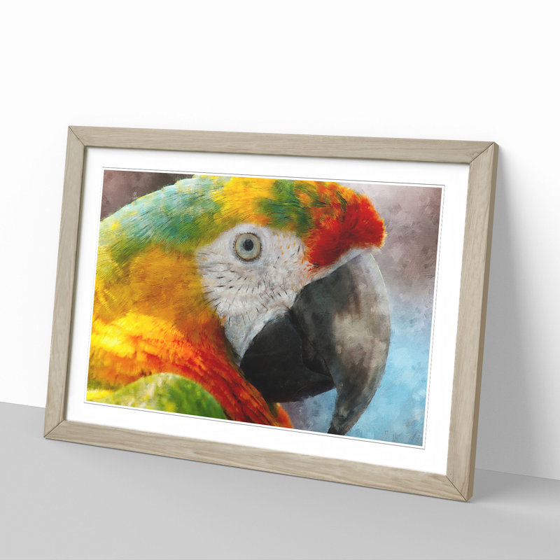 A Macaw Parrot - Picture Frame Graphic Art, 36cm H x 48cm W x 2cm D, Oak Framed