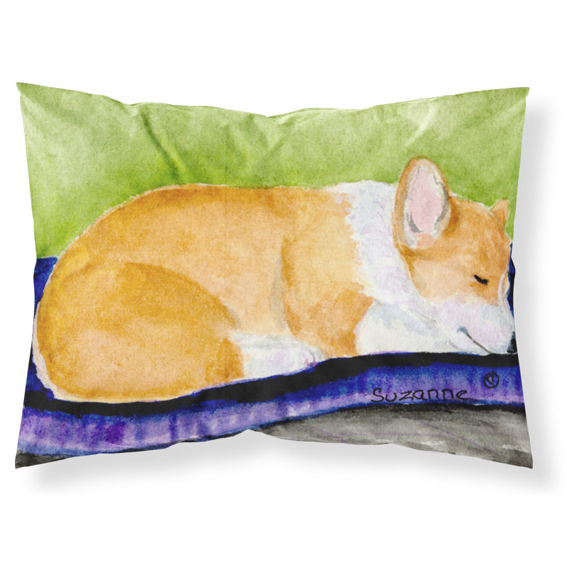 Corgi Microfiber