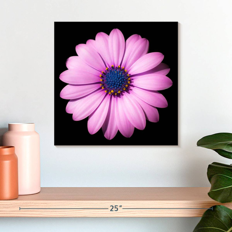 Harnek Pink Daisy
