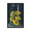 « citrons », impression sur toile-72227742-72227743-72227748