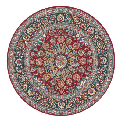 Indoor/Outdoor Traditional Area Rug