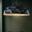 Turtle Dome Light-914054983