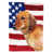 Brown Dachshund