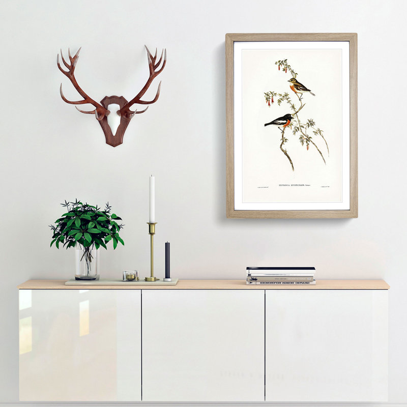 Scarlet-Breasted Robins by Elizabeth Gould - Picture Frame Painting Print, 36cm H x 27cm W x 2cm D, Oak Framed