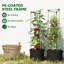 Vertical Garden