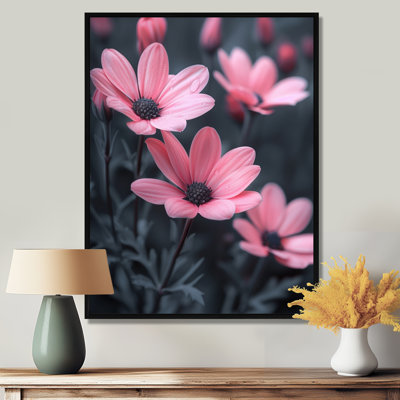 Monochromes roses et noires, photo I - marguerites, art mural