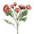 Rose saumon
