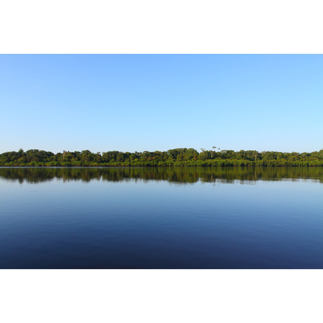 Leinwandbild Amazonas Fluss und Regenwald