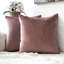 Housse de coussin en velours uni-364090994-352241801
