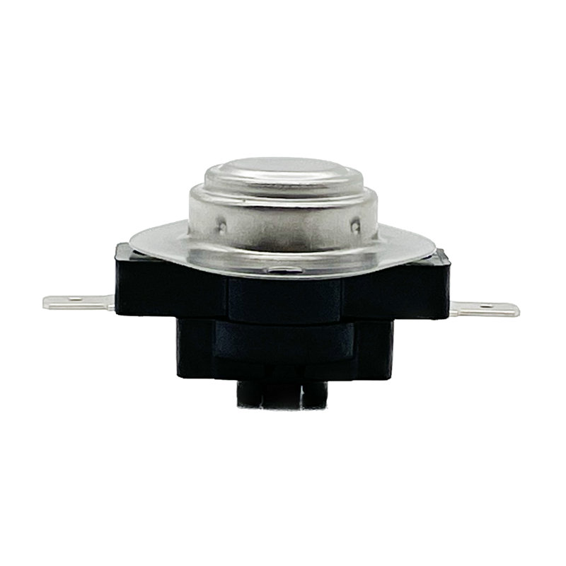 Whole Parts Thermostat