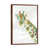 Classic Brown Wood Framed