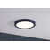 Flush Mount