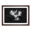 Cocker Spaniel - Framed Print-56916794-56916798