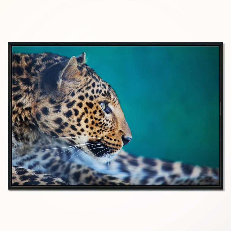 « vigilance leopard », impression, Cadre flottant noir, H 12 po x l 20 po