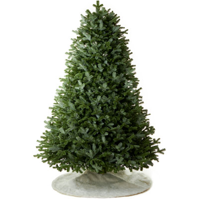 Pre-lit Fraser Fir Christmas Tree
