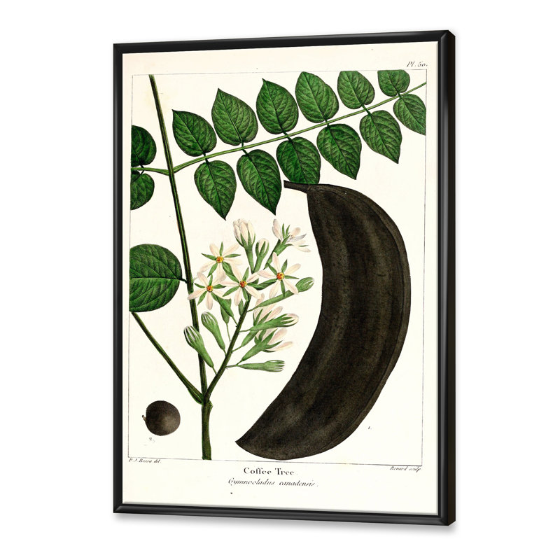 Vie végétale rétro - peinture sur toile, H 40 po x l 30 po x 1,5 po, Cadre flottant noir