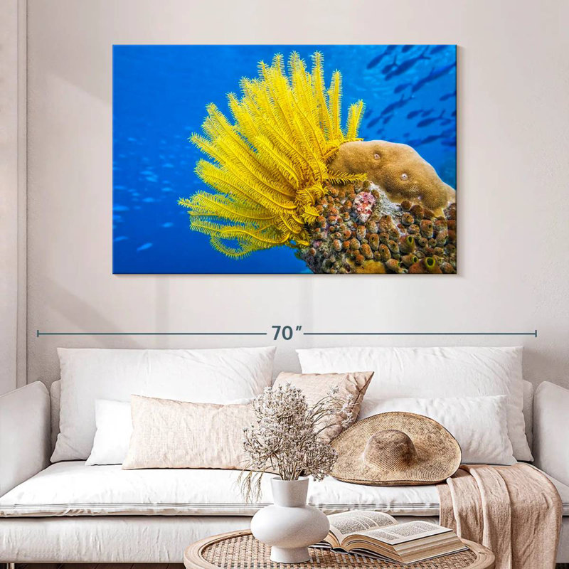 Étoile de mer à plumes jaunes Brampt, H 32 po x l 48 po