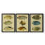 Trio de poissons tropicaux I - Toile tendue avec châssis sur mesure - 3 pièces-798829242-798829244