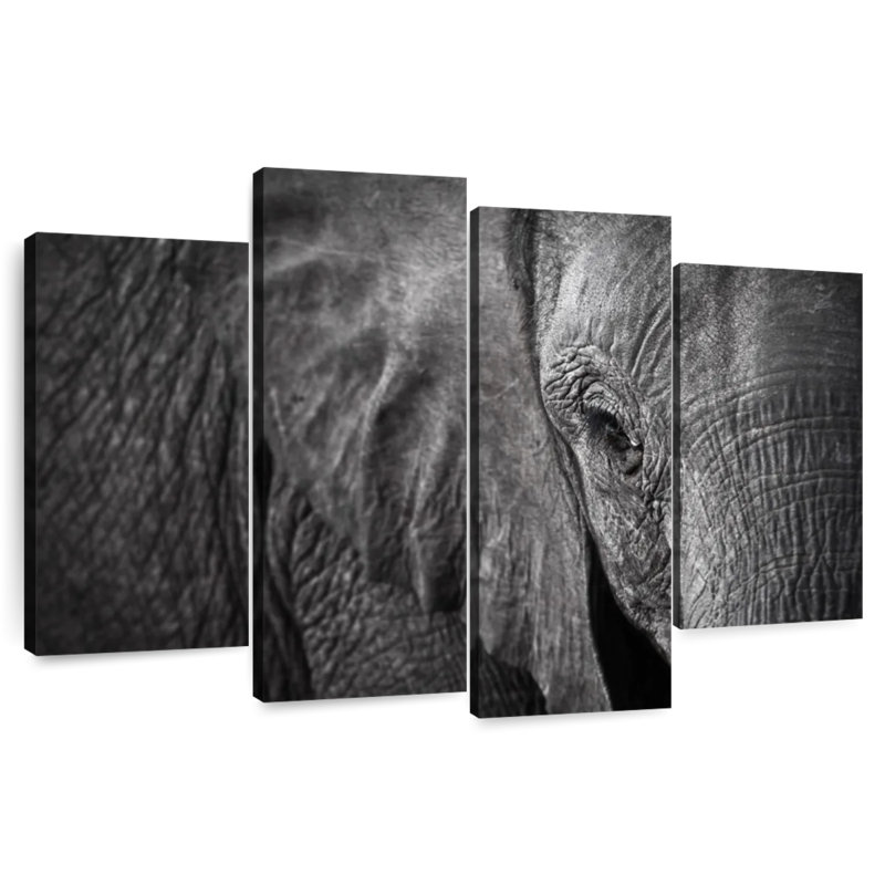 Brampt Elephant Eye, 54" H x 84" W