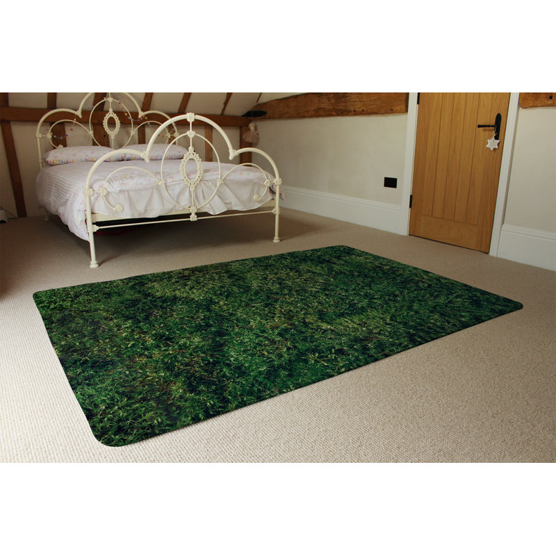 Jainee Area Rug, Rectangle 160 x 230cm