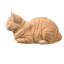 Chat tigré orange au repos-126248606