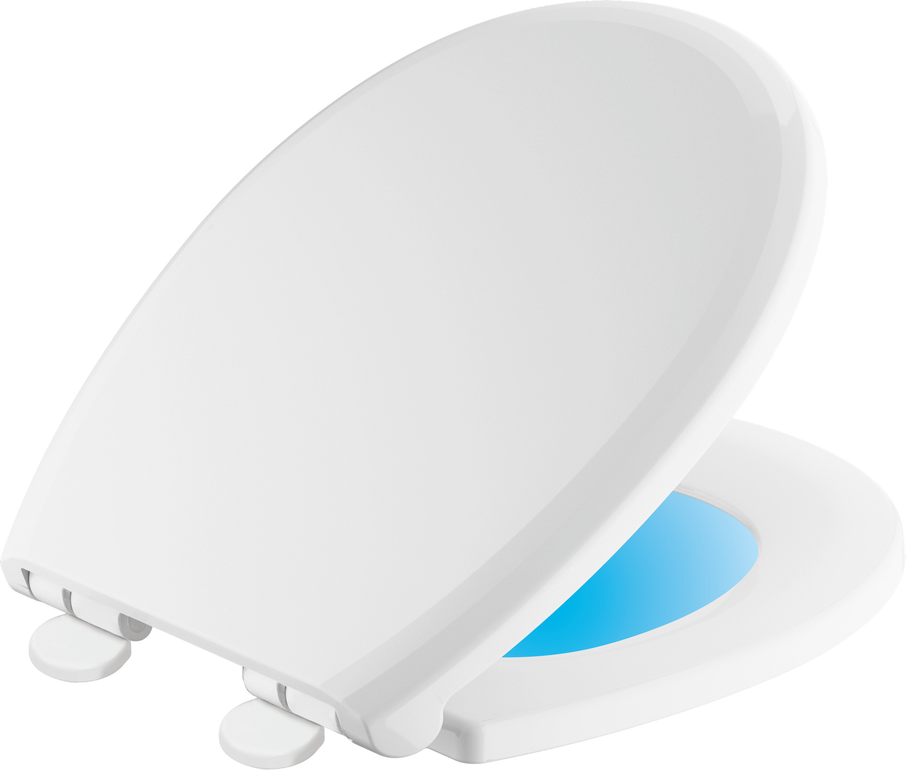 803902NWH Delta Sanborne Round Toilet Seat & Reviews Wayfair