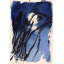 Lonely Nights Print by Ngo, PC