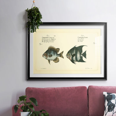 " Bloch Antique Fish II "