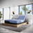 Marcela 12" Firm Hybrid Cooling Fast Responding Latex Foam and Coil Mattress-438710579