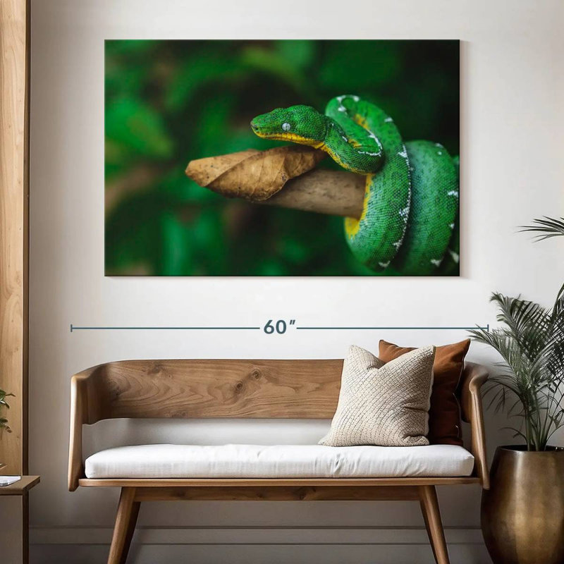 Emerald Tree Snake, 34" H x 51" W