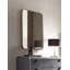 Miroir de salle de bain Duesbury-1392340278-1392340276