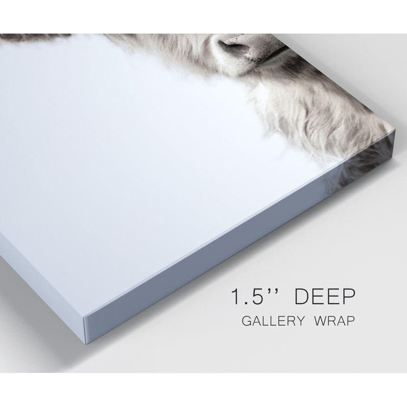 Bétail des Highlands - reproduction de photo, H 36 po x l 24 po x 1,5 po, Toile tendue, Pas de tapis
